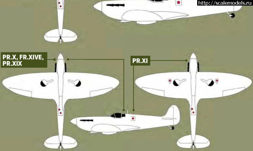 1624646103_Opera-snimok_2021-06-25_212828_www-key-aero.png : #1692277/ Seafire,       .  