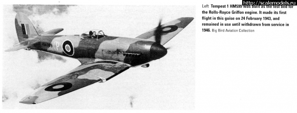 1626292849_kopejjka.jpg :  -  -  - / Hawker Tempest -     
