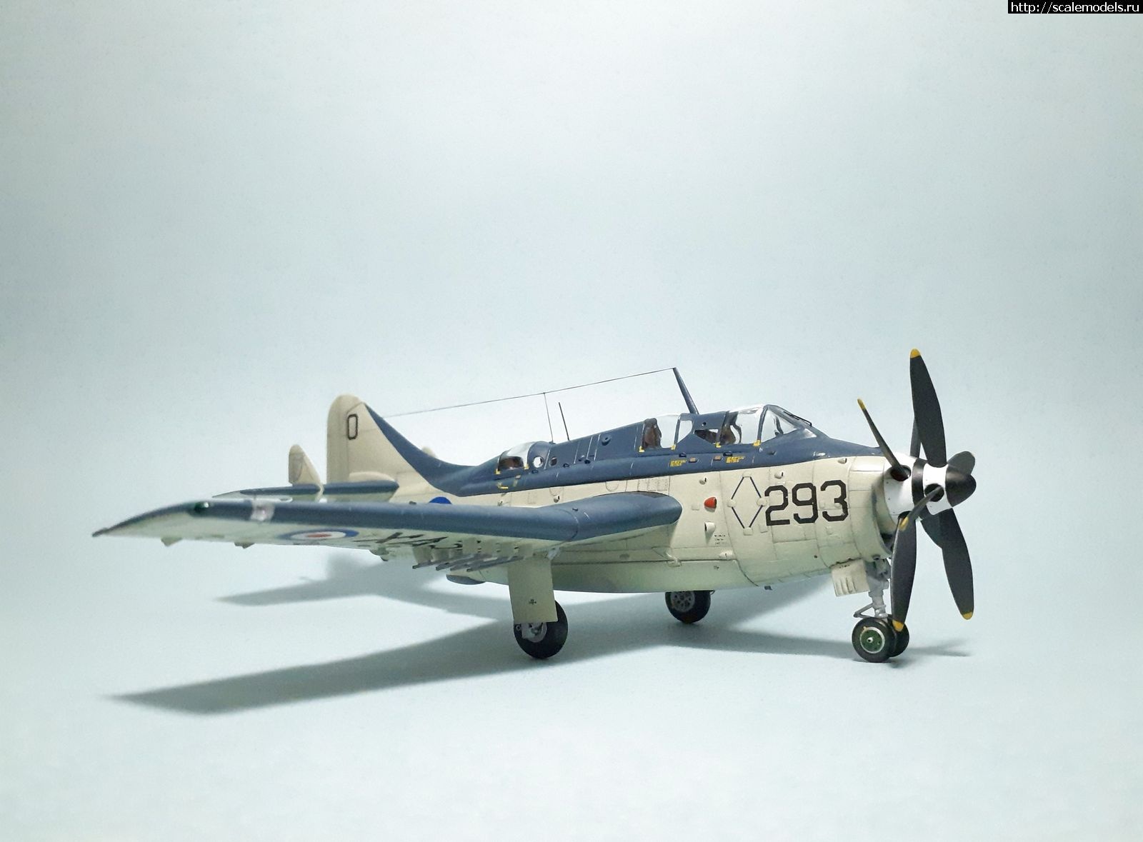 1629314949_1.jpg : #1699355/ Fairey Gannet AS Mk.I ( - ARKmodels) (1:72) !  