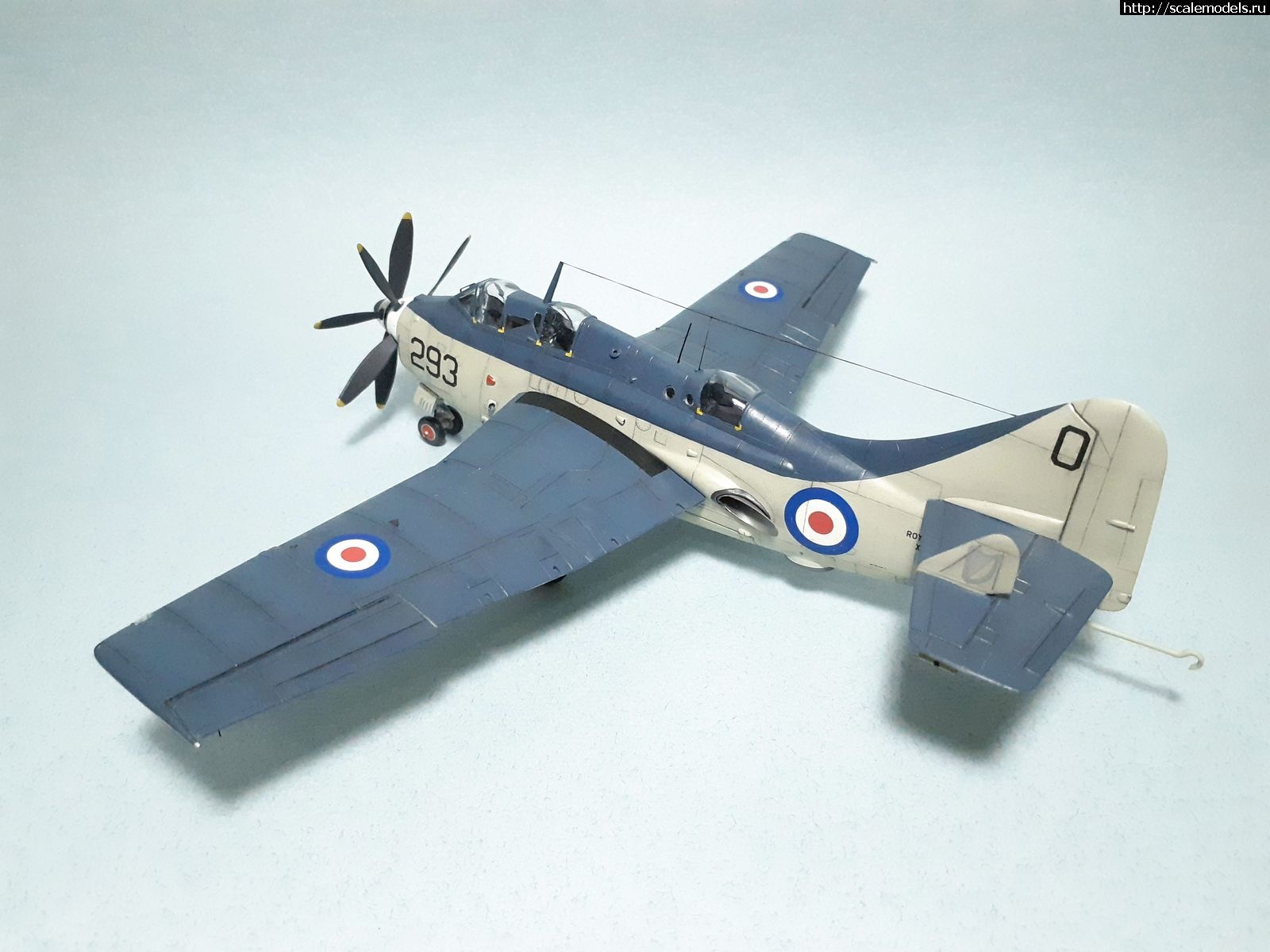 1629315045_19.jpg : #1699355/ Fairey Gannet AS Mk.I ( - ARKmodels) (1:72) !  