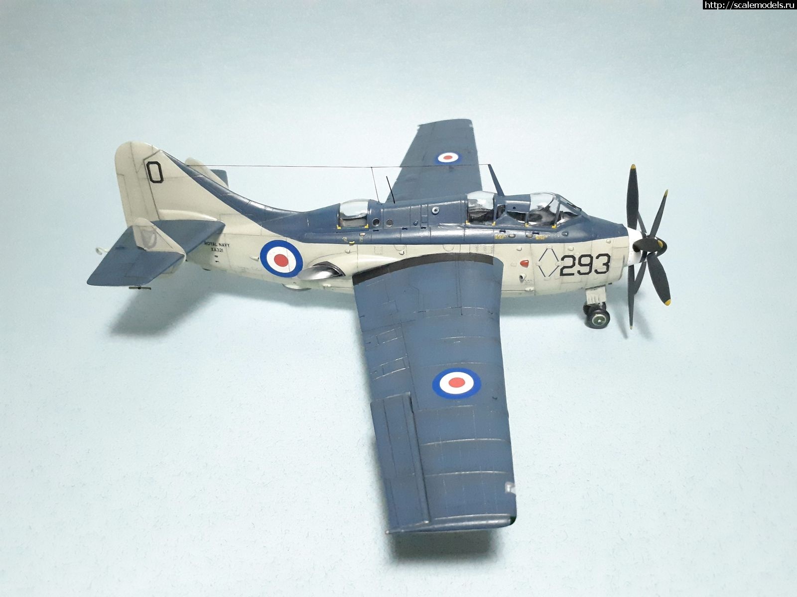 1629315076_24.jpg : #1699355/ Fairey Gannet AS Mk.I ( - ARKmodels) (1:72) !  