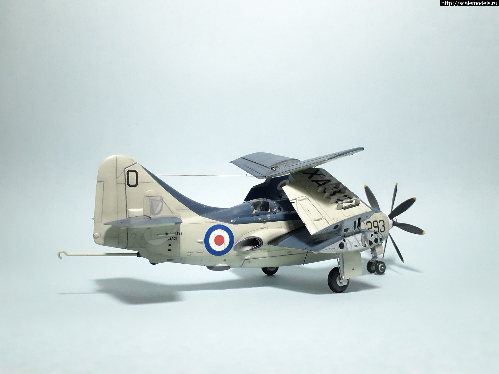 1629315260_34.jpg : #1699355/ Fairey Gannet AS Mk.I ( - ARKmodels) (1:72) !  