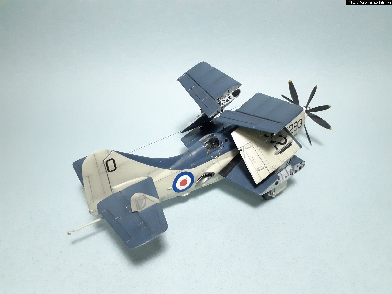 1629315397_46.jpg : #1699355/ Fairey Gannet AS Mk.I ( - ARKmodels) (1:72) !  