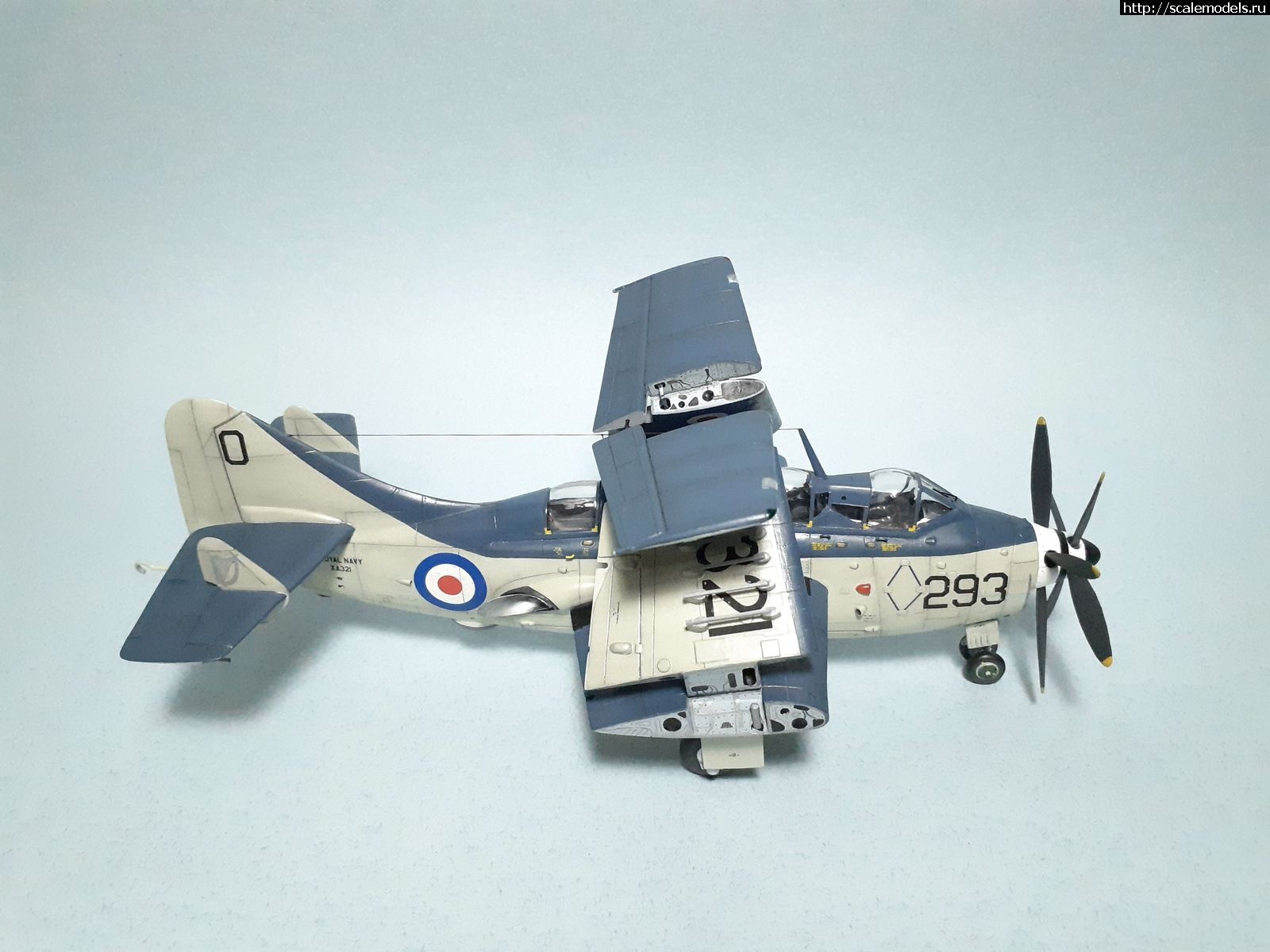 1629315402_47.jpg : #1699355/ Fairey Gannet AS Mk.I ( - ARKmodels) (1:72) !  