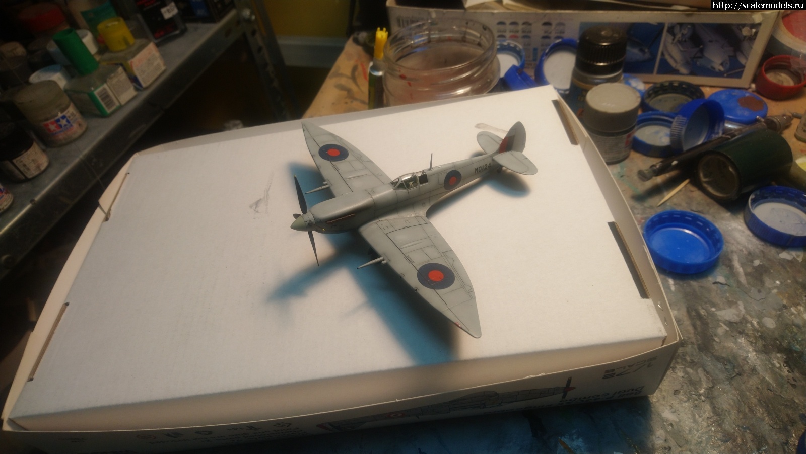 1635274909_DSC_0113.JPG : #1708751/ Spitfire Mk.VII "Long wing" Hasegawa 1/72   
