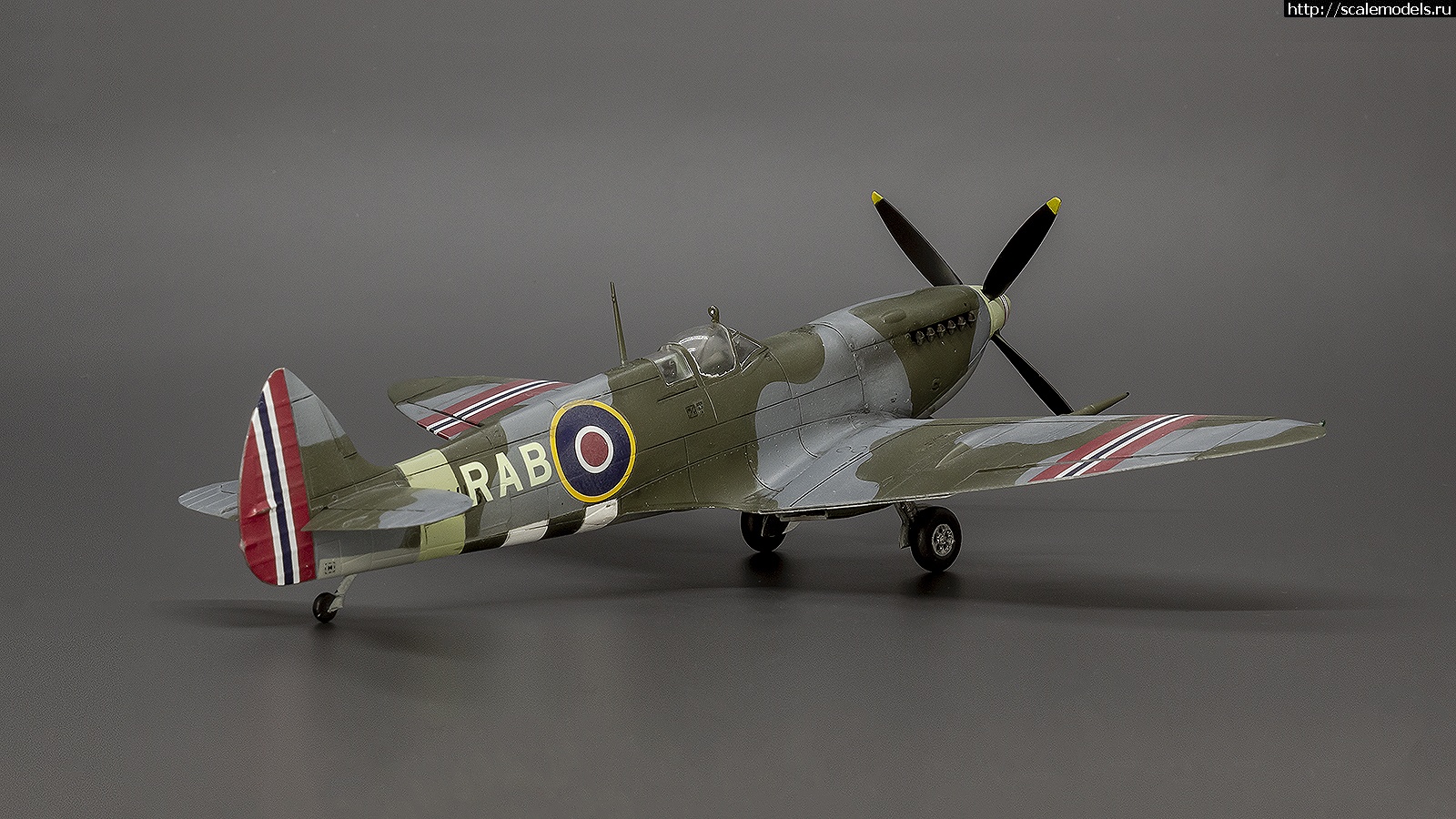 1642330087_IMG_8798.jpg : #1722419/ Eduard 1/72 Spitfire Mk.IXe - R.A. Berg - !  