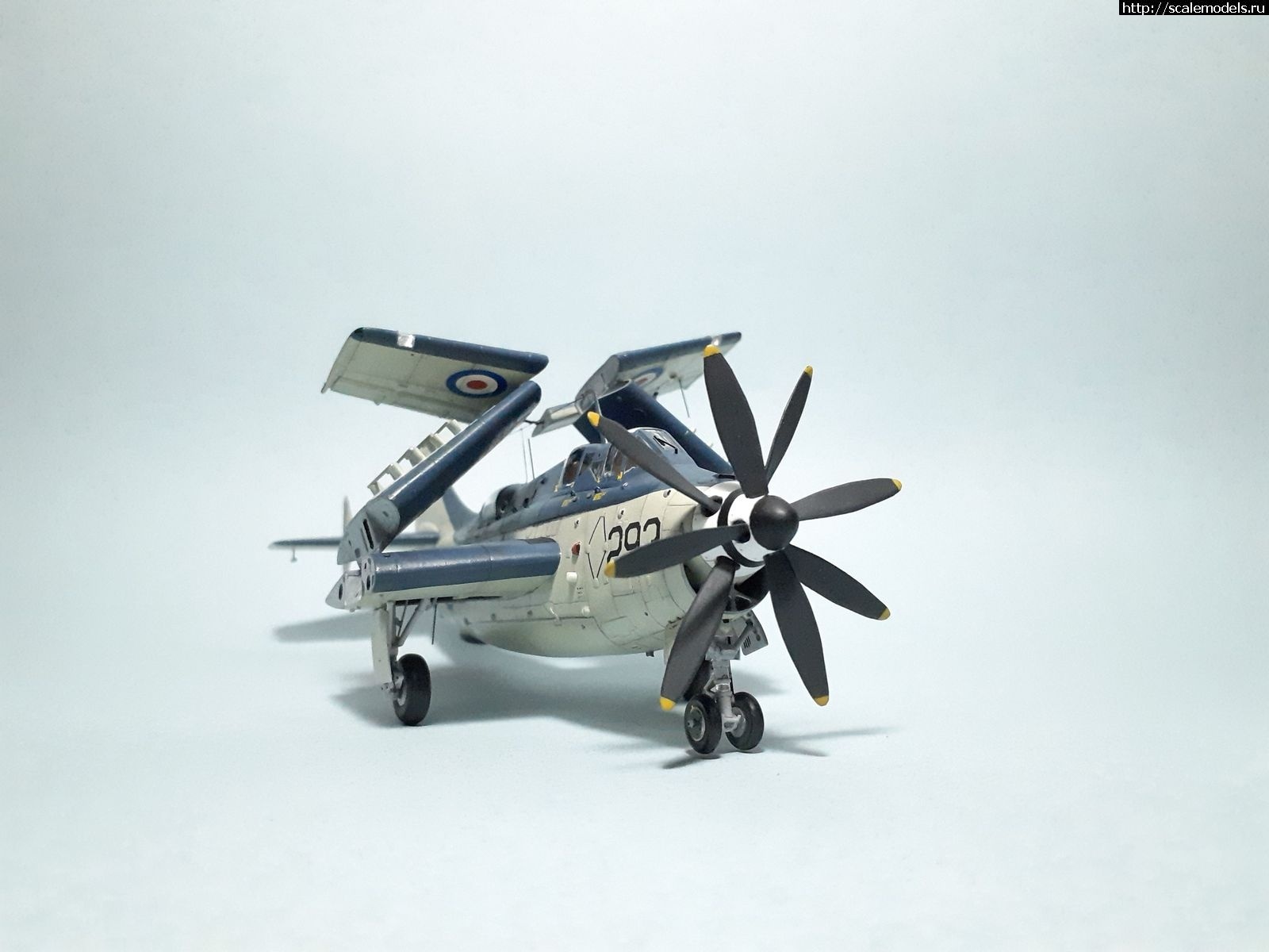 1642450275_1629315277_37.jpg : #1699355/ Fairey Gannet AS Mk.I ( - ARKmodels) (1:72) !  