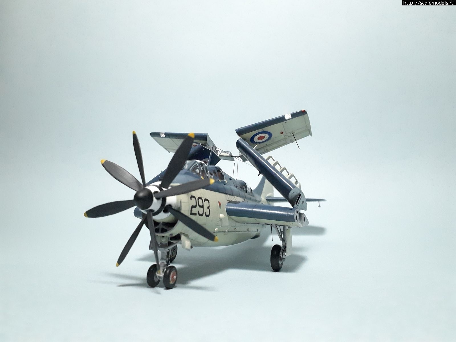 1642450275_1629315283_38.jpg : #1699355/ Fairey Gannet AS Mk.I ( - ARKmodels) (1:72) !  