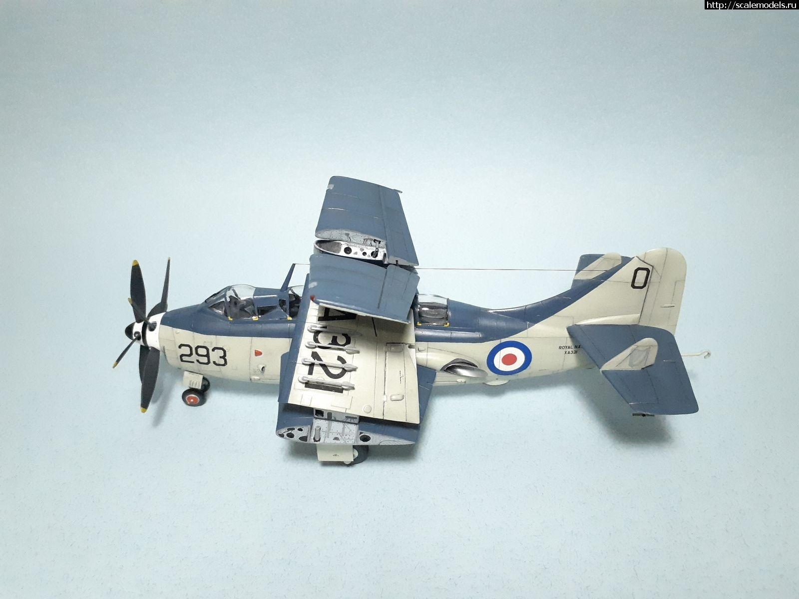 1642450276_1629315300_41.jpg : #1699355/ Fairey Gannet AS Mk.I ( - ARKmodels) (1:72) !  