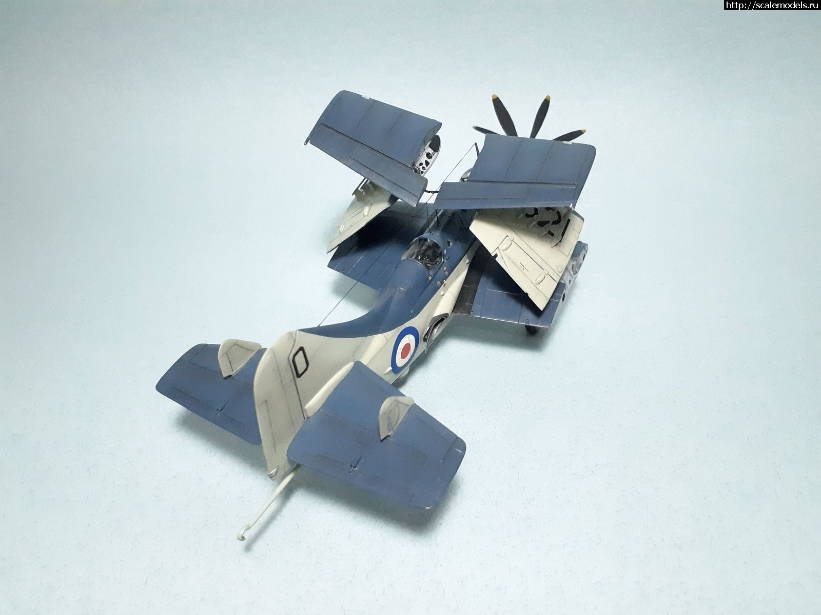 1642450279_1629315392_45.jpg : #1699355/ Fairey Gannet AS Mk.I ( - ARKmodels) (1:72) !  