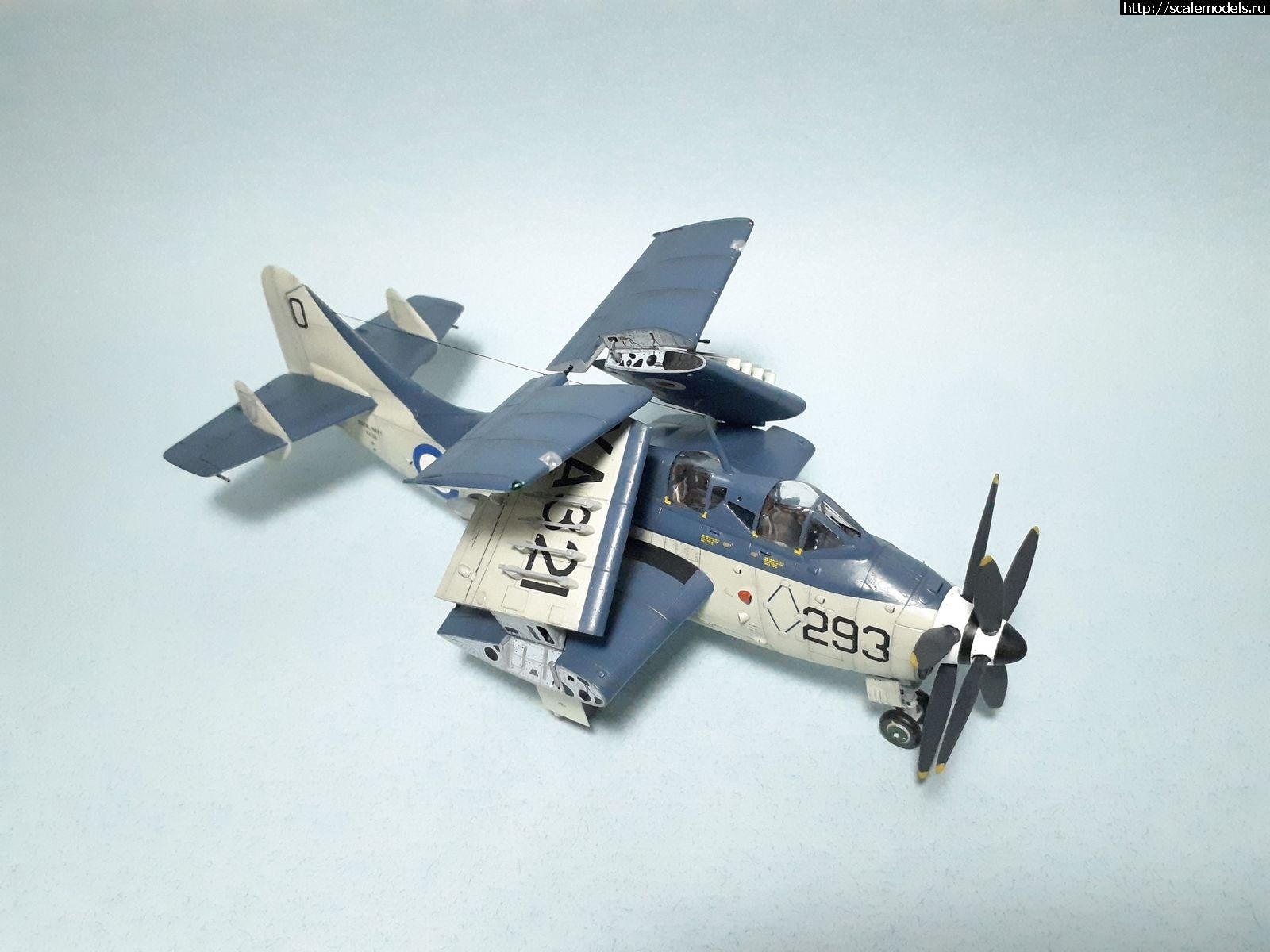 1642450283_1629315407_48.jpg : #1699355/ Fairey Gannet AS Mk.I ( - ARKmodels) (1:72) !  