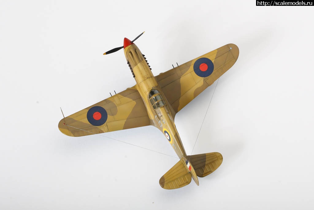 1642451132_235B7035.JPG : #1699355/ Fairey Gannet AS Mk.I ( - ARKmodels) (1:72) !  