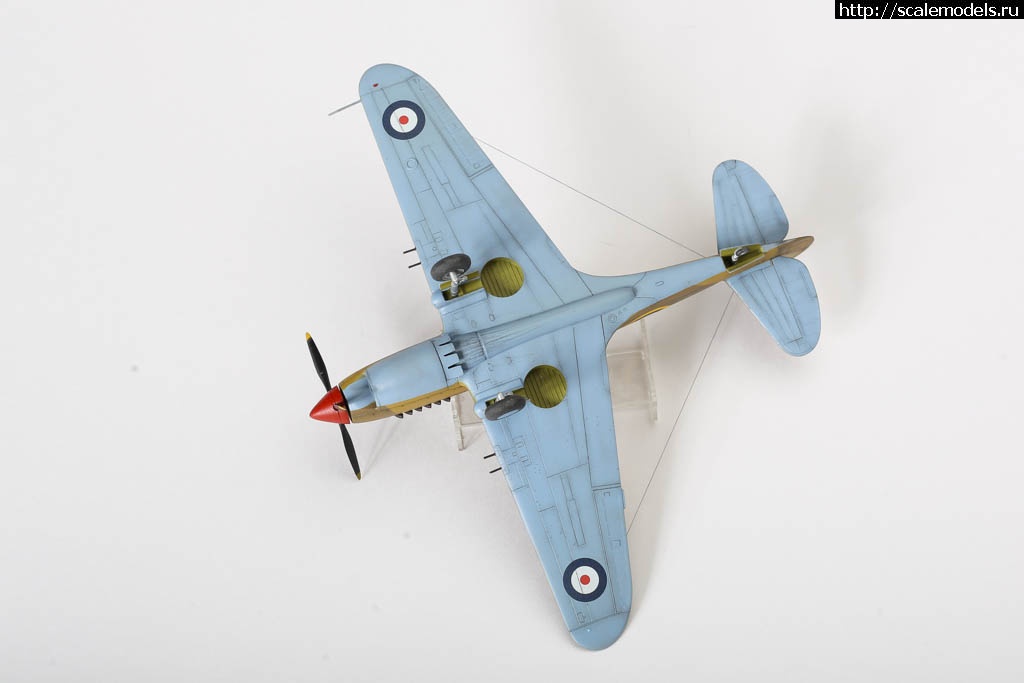 1642451132_235B7039.JPG : #1699355/ Fairey Gannet AS Mk.I ( - ARKmodels) (1:72) !  