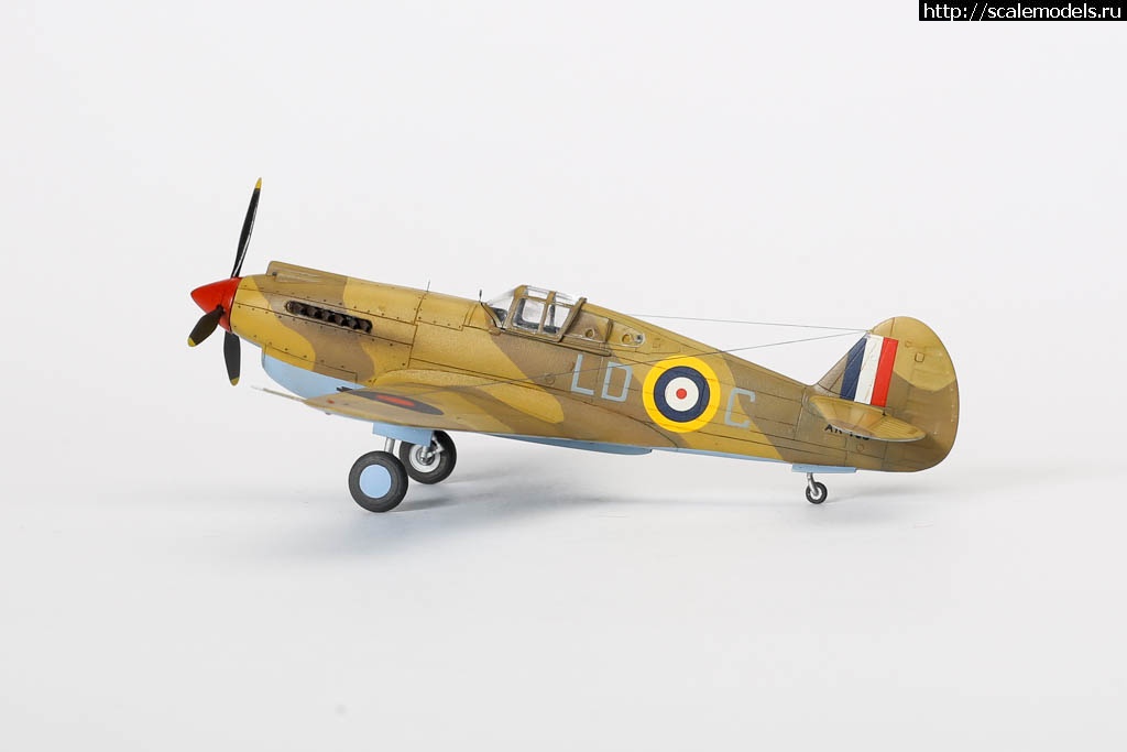 1642451134_235B7045.JPG : #1699355/ Fairey Gannet AS Mk.I ( - ARKmodels) (1:72) !  