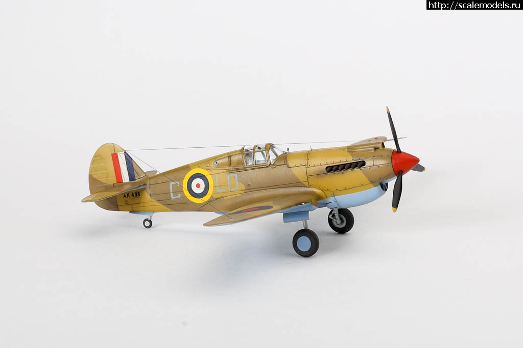 1642451134_235B7046.JPG : #1699355/ Fairey Gannet AS Mk.I ( - ARKmodels) (1:72) !  