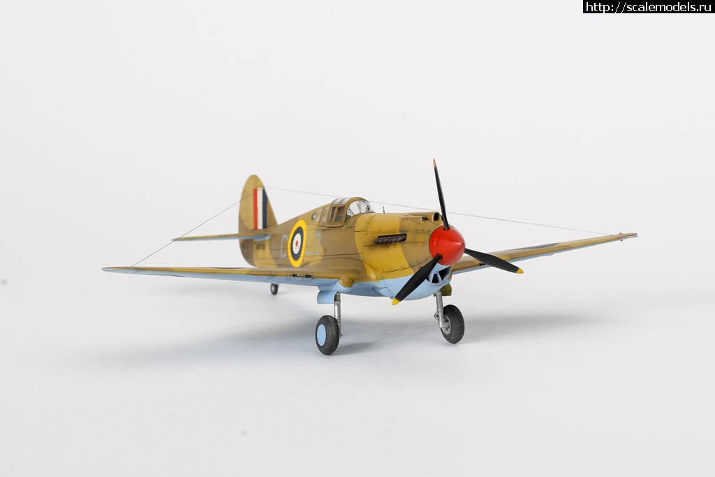 1642451137_235B7052.JPG : #1699355/ Fairey Gannet AS Mk.I ( - ARKmodels) (1:72) !  