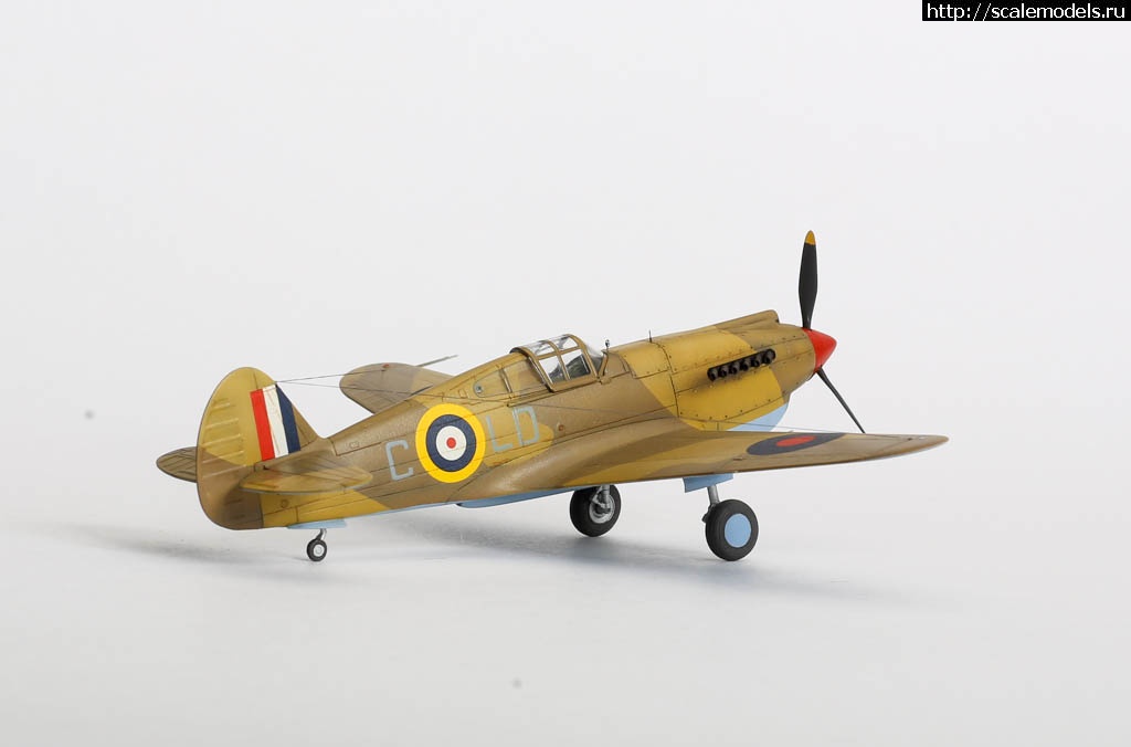 1642451137_235B7056.JPG : #1699355/ Fairey Gannet AS Mk.I ( - ARKmodels) (1:72) !  