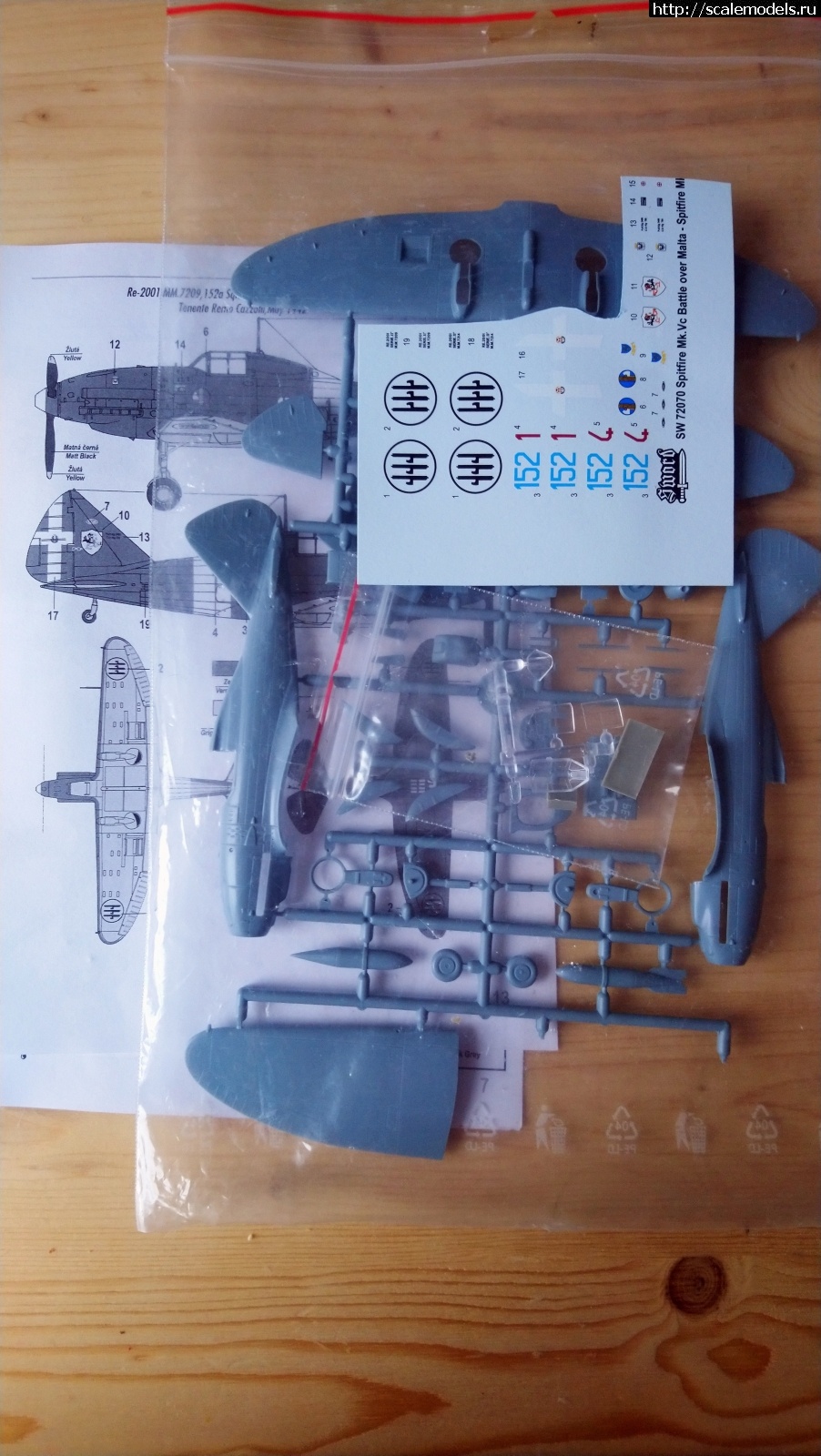 1643791550_DSC_0124.JPG : Reggiane Re.2001, Sword 1/72  