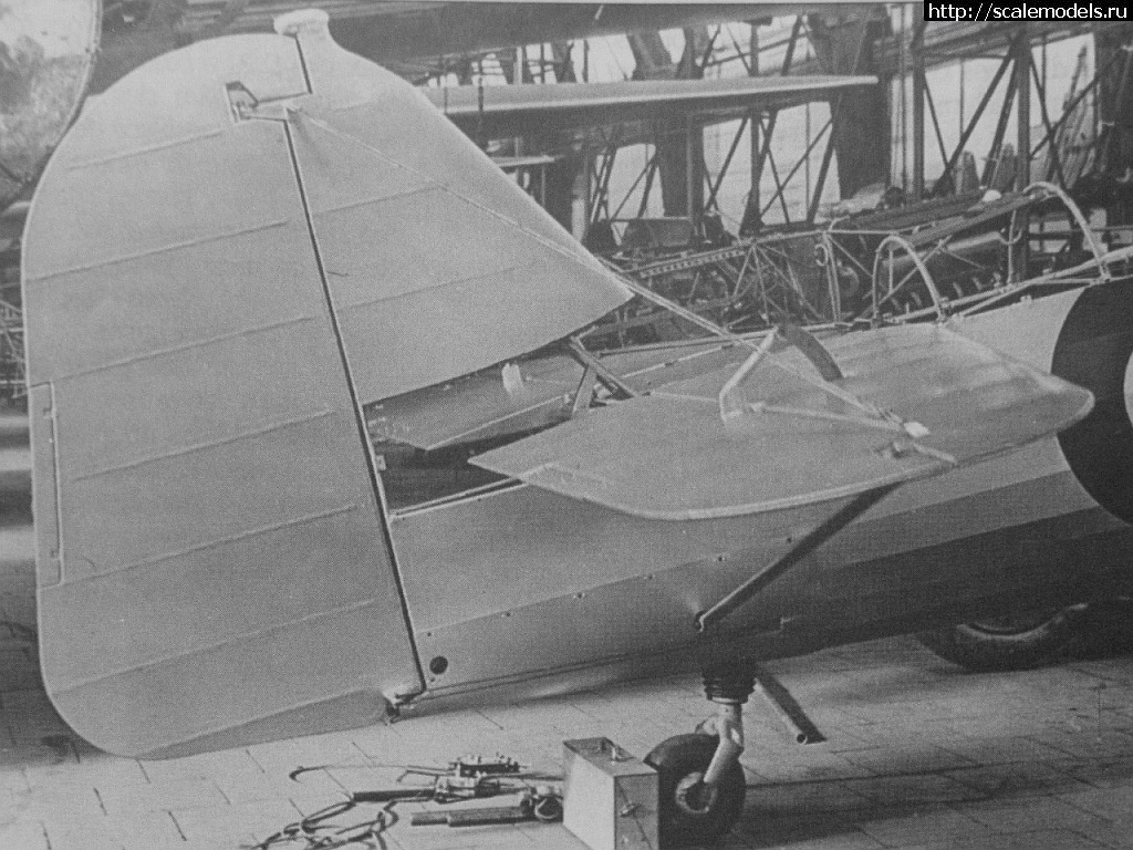 1646937456_datskijj-fokker.jpg : #1731756/ Fokker D XXI -     