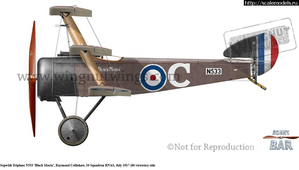 1651128436_11.png : 1/32 Sopwith Triplane, WnW  