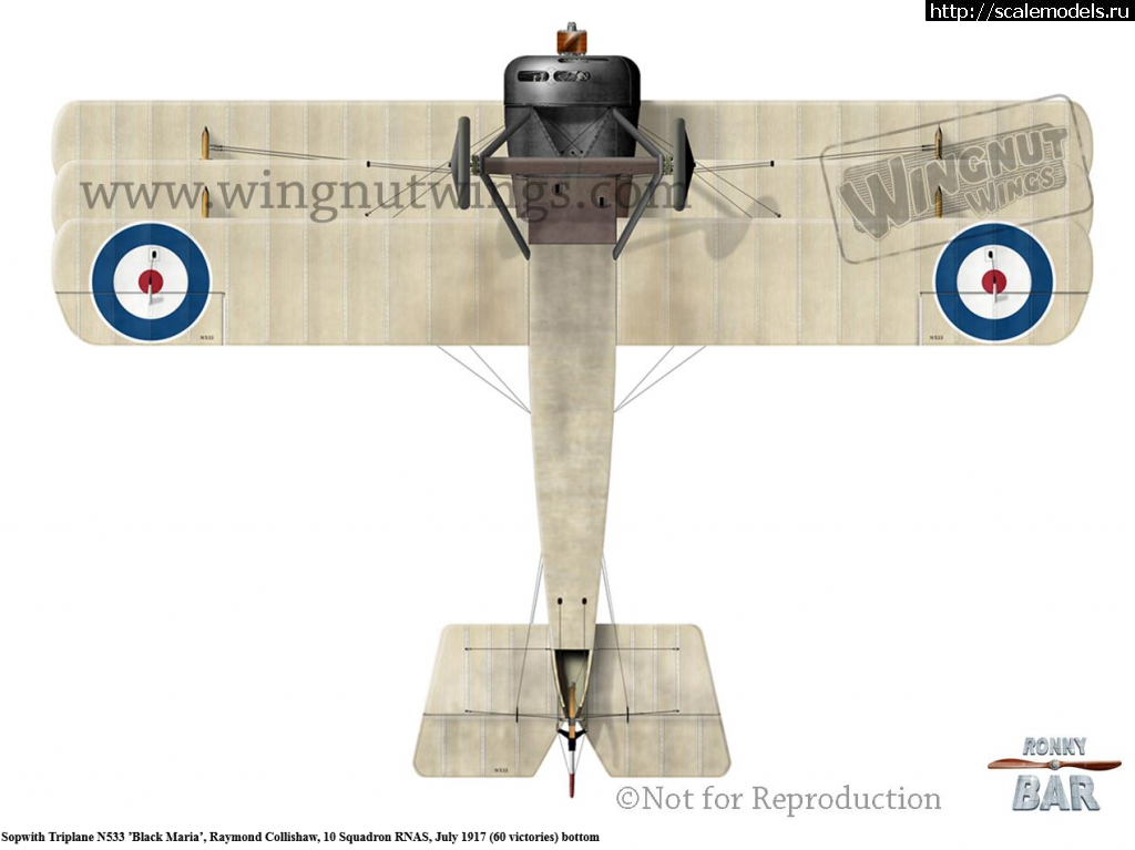 1651128438_13.png : 1/32 Sopwith Triplane, WnW  