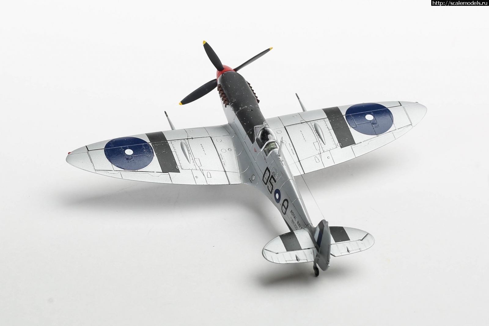 1651179321_235B5189.JPG : #1737055/ Seafire Mk.III Sword 1/72   