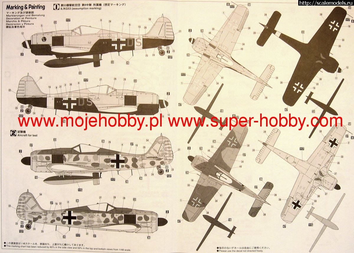 1652177409_2081_2_has09933_4.jpg : Fw 190F-8  -5/U15 with BV 246 Hagelkorn 1/72  