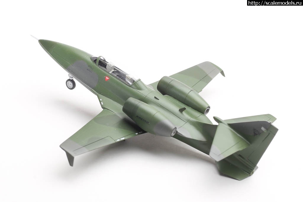 1655658290_235B1517.JPG : #1743480/ Boeing Skyfox  Smarkit 1/72   