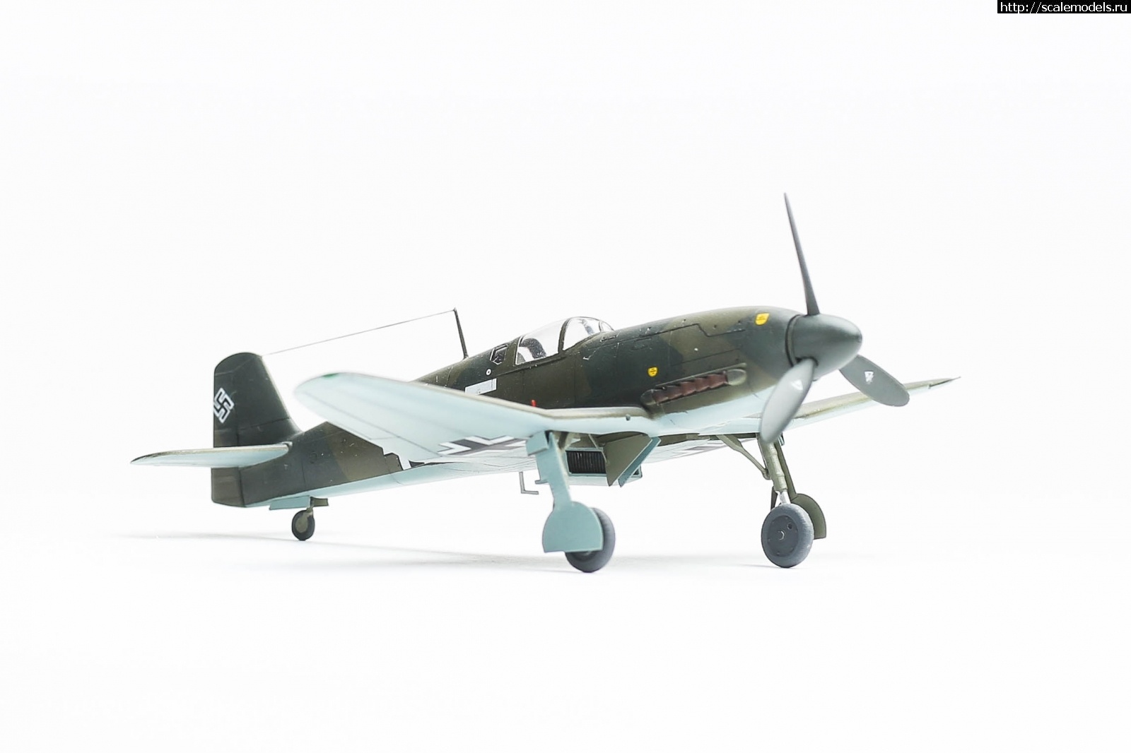 1655660010_235B5663.JPG : #1743489/ Heinkel He 100D-0 (He 113 Propaganda fighter) SH 1/72  