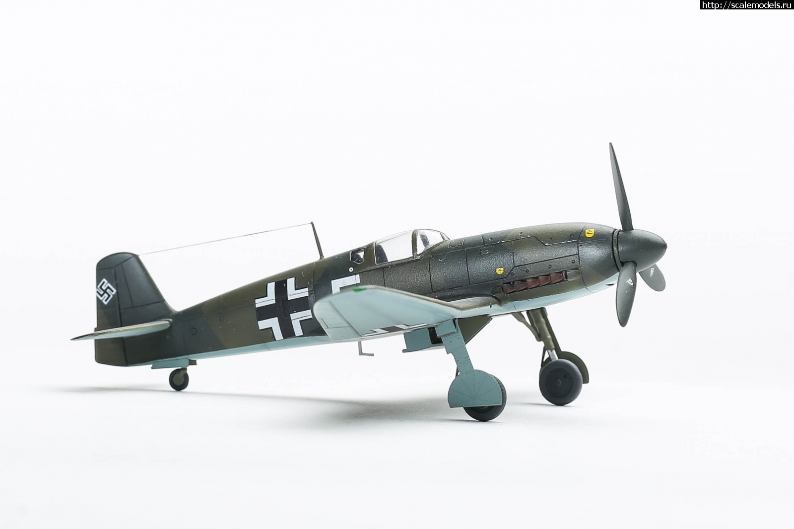 1655660014_235B5673.JPG : #1743489/ Heinkel He 100D-0 (He 113 Propaganda fighter) SH 1/72  