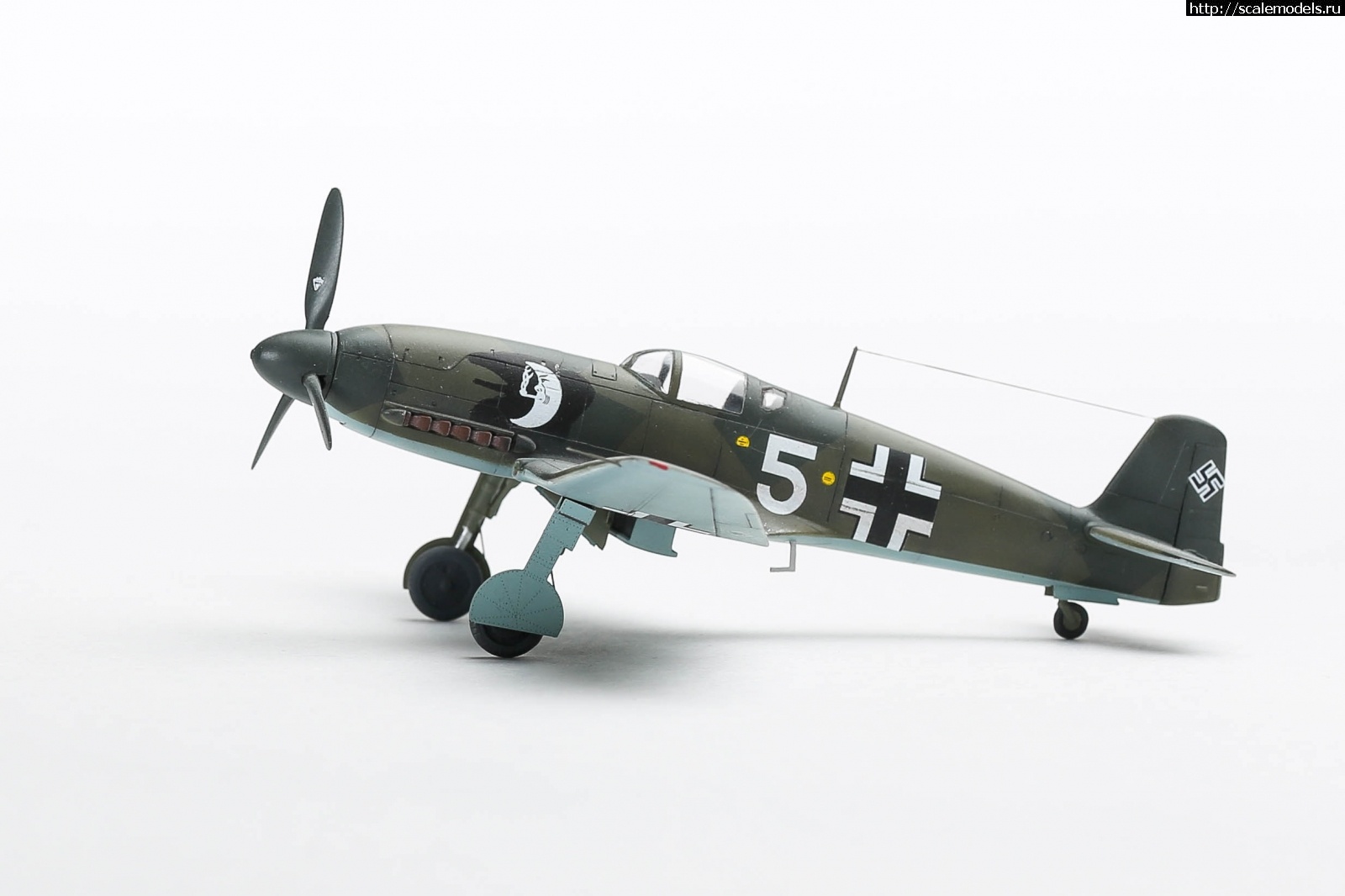 1655660018_235B5680.JPG : #1743489/ Heinkel He 100D-0 (He 113 Propaganda fighter) SH 1/72  