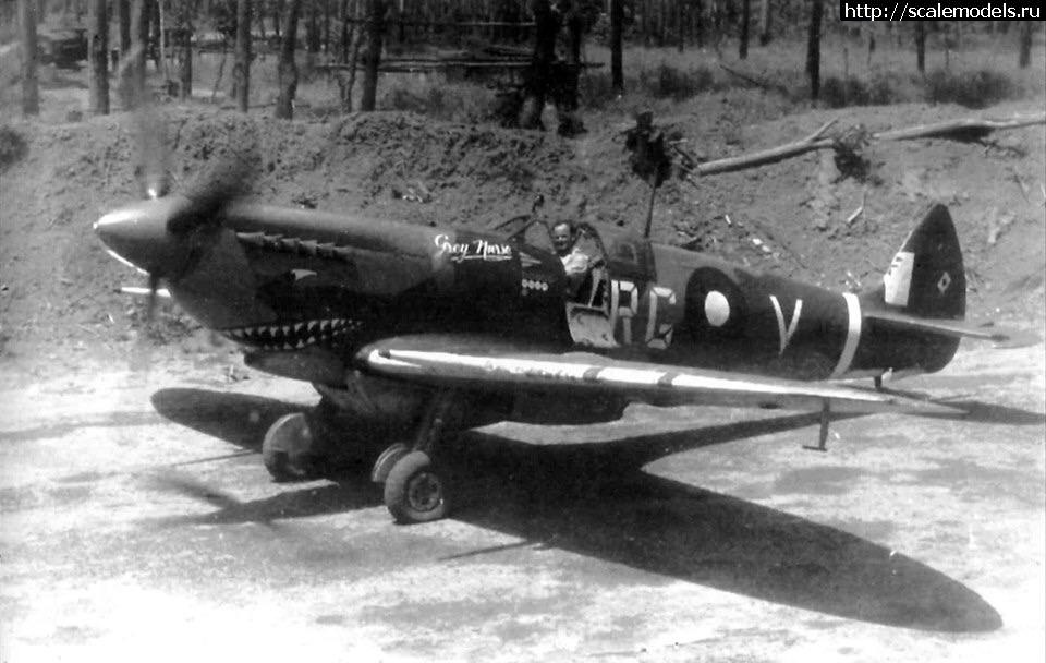 1655899803_il8myvy5fk031.jpg : #1743942/ Eduard 1/72 Spitfire Mk VIII  ...(#15740) -   
