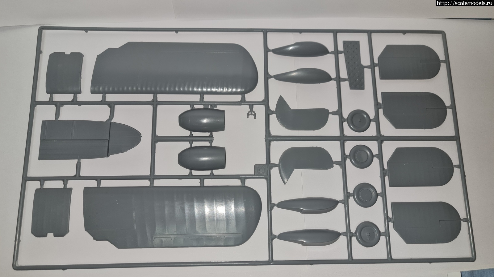 1660465128_20220814_104113.jpg : Special hobby Walrus Mk1 1/48    