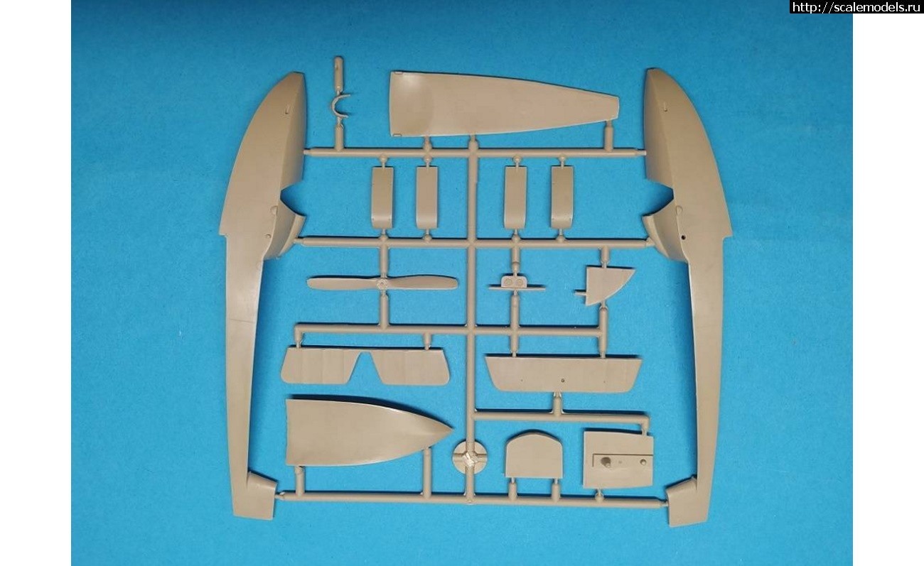 1663692717_2116-entry-4-1651914763.jpg : Macchi M-5 Fly 1/48    