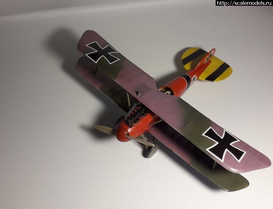 1673019589_albatros9.jpg : #1768067/ Albatros D.V. Eduard 1:72    