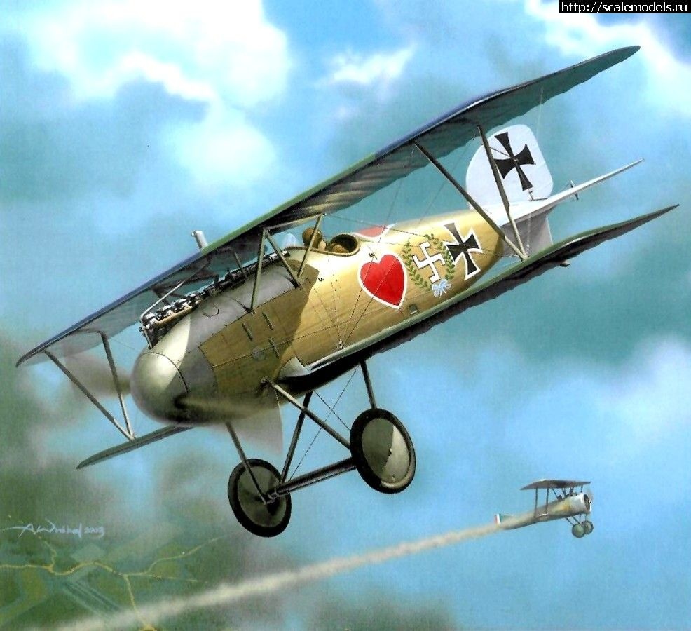 1673807676_Pinturas-Aviaci.jpg : Albatros DIII  , Roden 1/32  