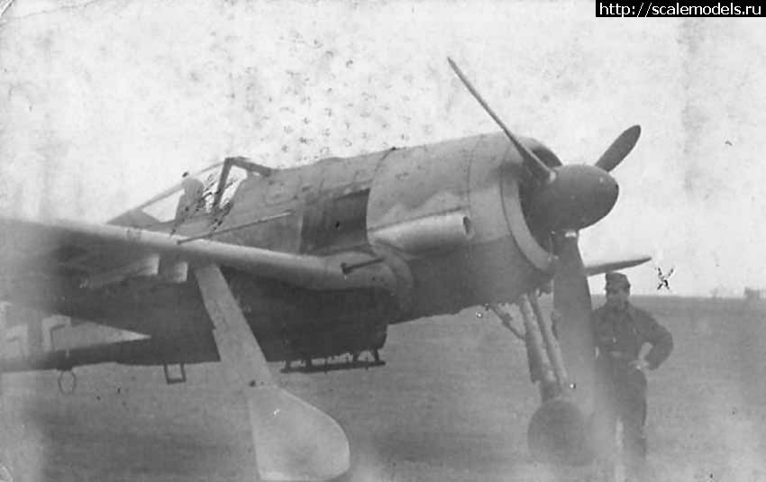 1675446630_Focke_Wulf_Fw_190_front_view_2.jpg : Re: Eduard 1/48 Fw 190A-4/Trop    / Fw-190A-4/Trop 1/48 Eduard    