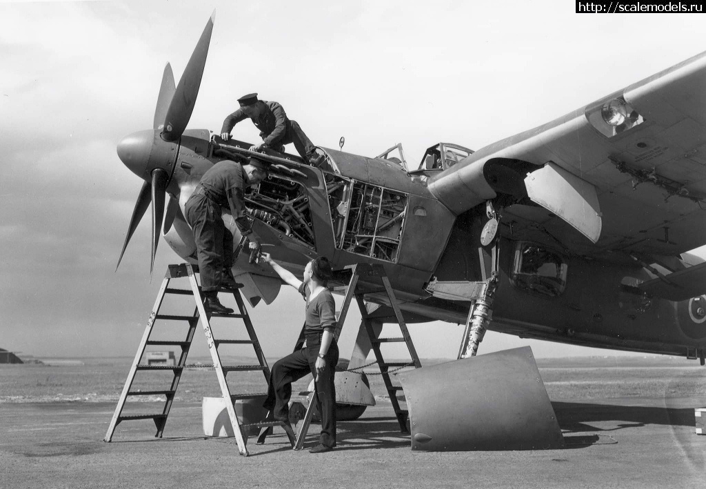 1675703820_20230206_200548.jpg : #1772840/ Fairey Barracuda Mk2 -   