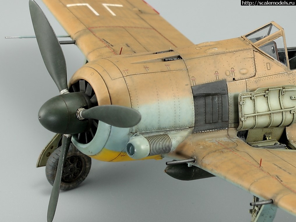 1676618877_IMG_4751hh.JPG : #1774416/ Fw-190A-4/Trop 1/48 Eduard    