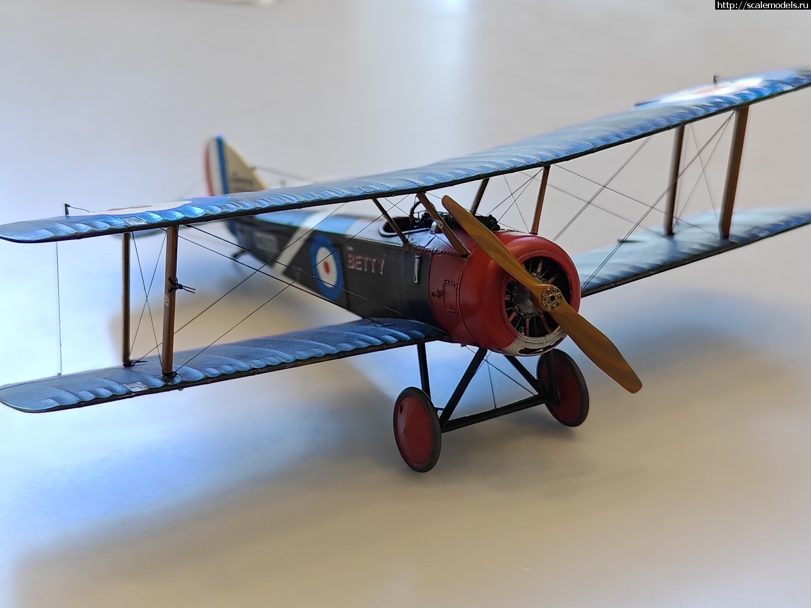 1747601737_3.jpg :   -6   1/48  