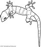 Gekko