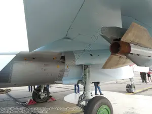 Su-30SM (BuNo.26 SN1109)_Irkutsk_041.JPG