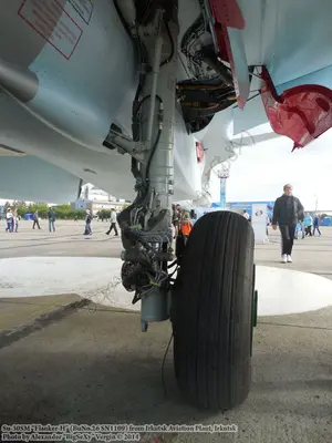 Su-30SM (BuNo.26 SN1109)_Irkutsk_043.JPG