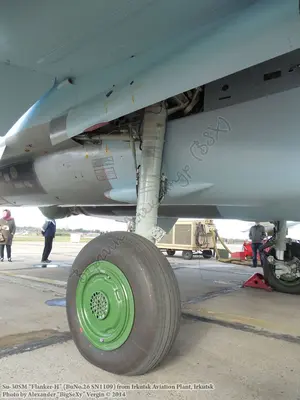 Su-30SM (BuNo.26 SN1109)_Irkutsk_049.JPG