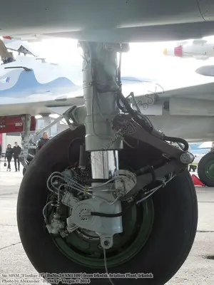 Su-30SM (BuNo.26 SN1109)_Irkutsk_051.JPG