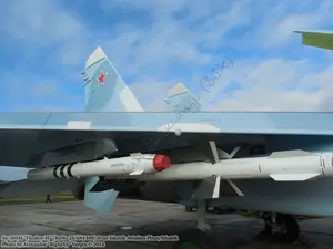 Su-30SM (BuNo.26 SN1109)_Irkutsk_087.JPG