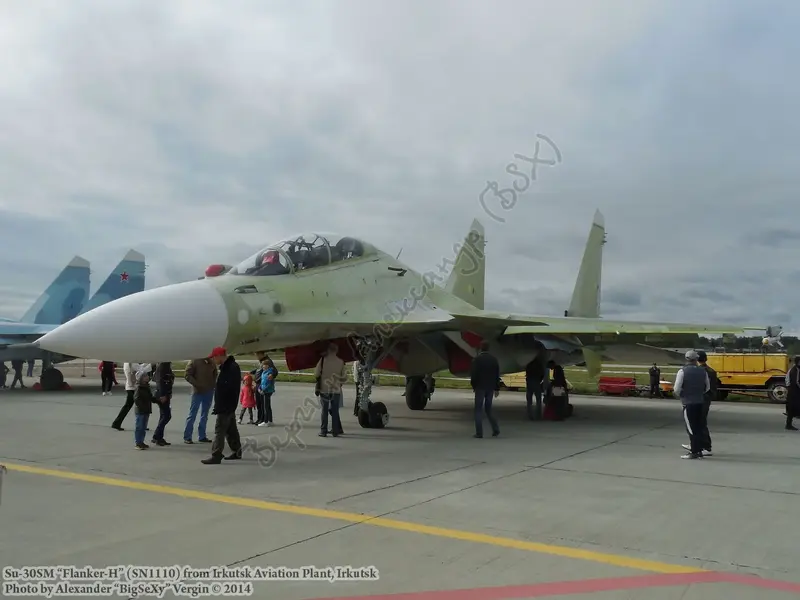 Су-30СМ (с.н. 1110)