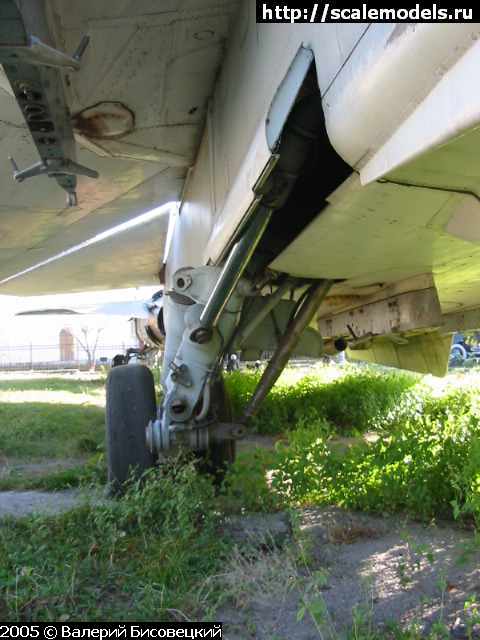 w_su24_100-0017_IMG.JPG