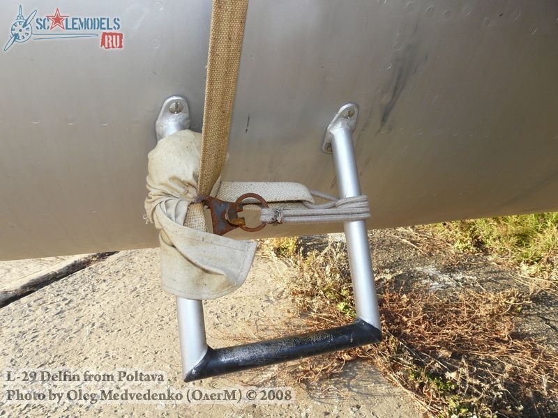w_l29delfin_poltava_112.jpg
