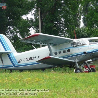Ан-2 (Соколовая Балка, Полтавская обл.)